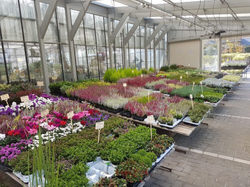 Échoppes automnales