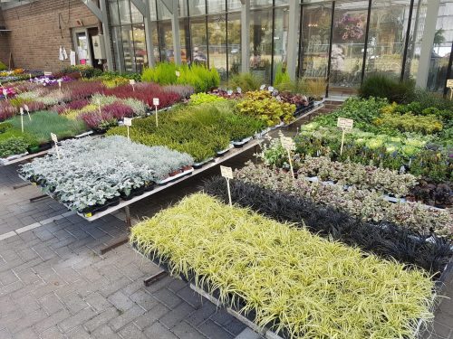 Échoppes automnales